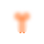 W Developer Icon 1 64x64